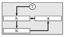 node11.png